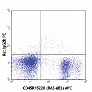 PE anti-mouse CD93 (AA4.1, early B lineage) - Image 2