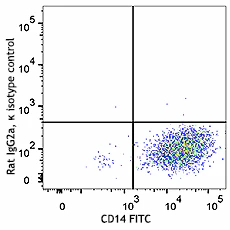 PE anti-mouse Folate Receptor β (FR-β) - Image 2