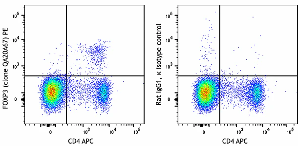 PE anti-mouse FOXP3 Recombinant