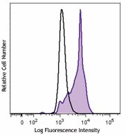 PE anti-mouse/human Bcl-6 - Image 2