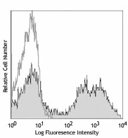 PE anti-mouse/human CD11b