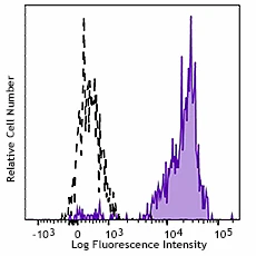PE anti-mouse/human CD282 (TLR2) Recombinant