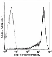 PE anti-mouse/human CD44 - Image 2