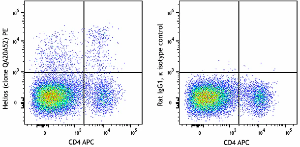 PE anti-mouse/human Helios Recombinant