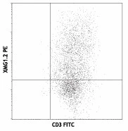 PE anti-mouse IFN-γ