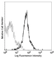PE anti-mouse IFN-γ R β chain