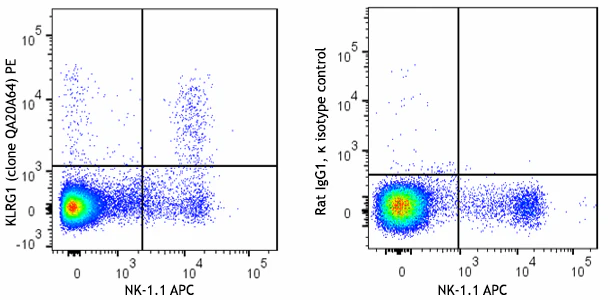 PE anti-mouse KLRG1 (MAFA) Recombinant