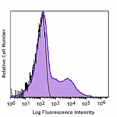 PE anti-mouse Ly-6A/E (Sca-1) Recombinant - Image 2