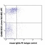 PE anti-mouse Ly108