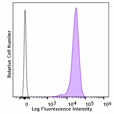 PE anti-mouse Lypd8