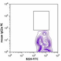 PE anti-mouse PDC-TREM - Image 2