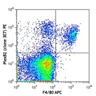 PE anti-mouse Plexin B2