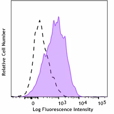 PE anti-mouse Podocalyxin