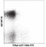 PE anti-mouse TCR β chain