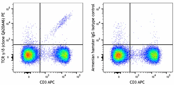 PE anti-mouse TCR γ/δ Recombinant