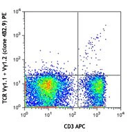 PE anti-mouse TCR Vγ1.1 + Vγ1.2
