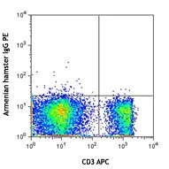 PE anti-mouse TCR Vγ1.1 + Vγ1.2 - Image 2