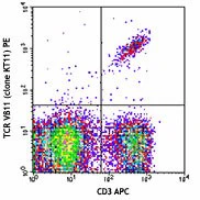 PE anti-mouse TCR Vβ11