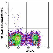 PE anti-mouse TCR Vβ11 - Image 2