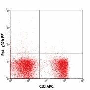 PE anti-mouse TCR Vβ11 - Image 2
