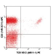 PE anti-mouse  TCR Vβ12