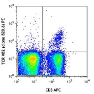 PE anti-mouse TCR Vβ2