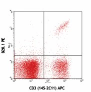 PE anti-mouse TCR Vα2