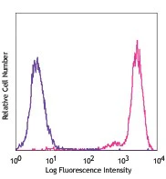 PE anti-mouse TCR Vγ3