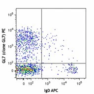PE anti-MU/HU GL7 Antigen (T/B Cell Act. Marker)