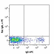 PE anti-MU/HU GL7 Antigen (T/B Cell Act. Marker) - Image 2