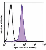 PE anti-NF-κB p65