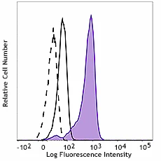 PE anti-NF-κB p65 Phospho (Ser529)
