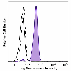 PE anti-p38 MAPK Phospho (Thr180/Tyr182) Recombinant