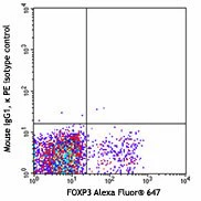 PE anti-rat CD152 - Image 2