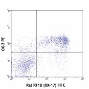 PE anti-rat CD200