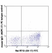 PE anti-rat CD200 - Image 2