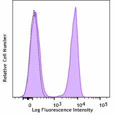 PE anti-rat CD3 Recombinant