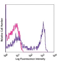 PE anti-rat CD43