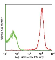 PE anti-rat CD47