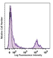PE anti-rat CD71