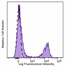 PE anti-rat IgG2b