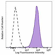 PE anti-RPS6 Phospho (Ser235/Ser236)