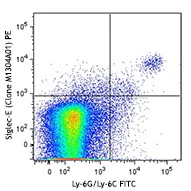 PE anti-Siglec-E