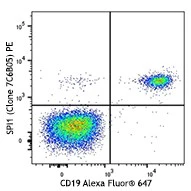 PE anti-SPI1 (PU.1)