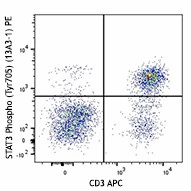 PE anti-STAT3 Phospho (Tyr705)