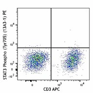 PE anti-STAT3 Phospho (Tyr705) - Image 2