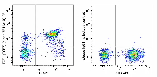 PE anti-TCF1 (TCF7)