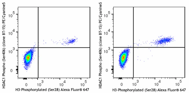 PE/Cyanine5 anti-HDAC1 Phospho (Ser406) - Image 2