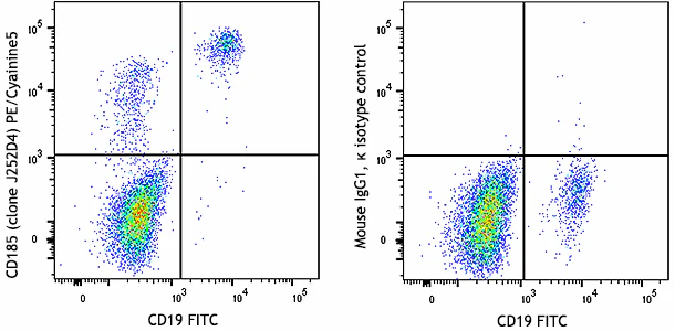 PE/Cyanine5 anti-human CD185 (CXCR5)