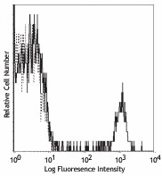 PE/Cyanine5 anti-human CD19